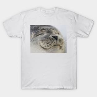 Seal of Approval T-Shirt